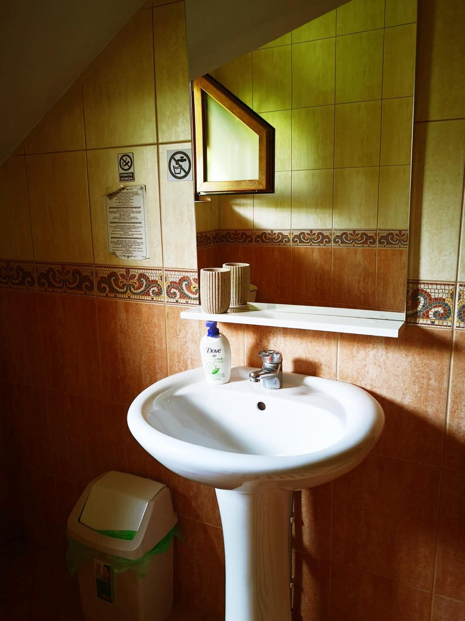 Pensiunea Ardelean Vadu Izei Cameră foto